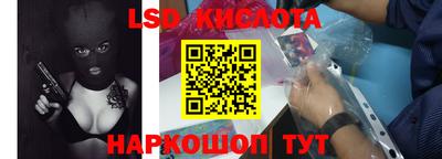 СК Кингисепп