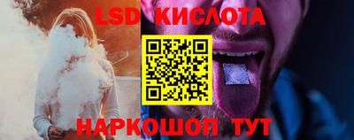 СК Кингисепп