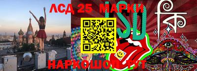 СК Кингисепп