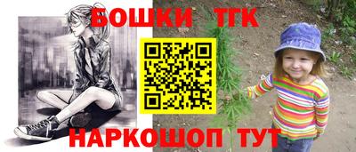 СК Кингисепп