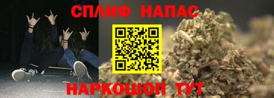 СК Кингисепп
