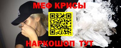 СК Кингисепп