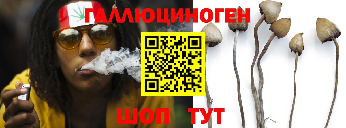 Шали  Галлюциногенные грибы Psilocybe  Вход с VPN  Псилоцибиновые грибы мицелий 
